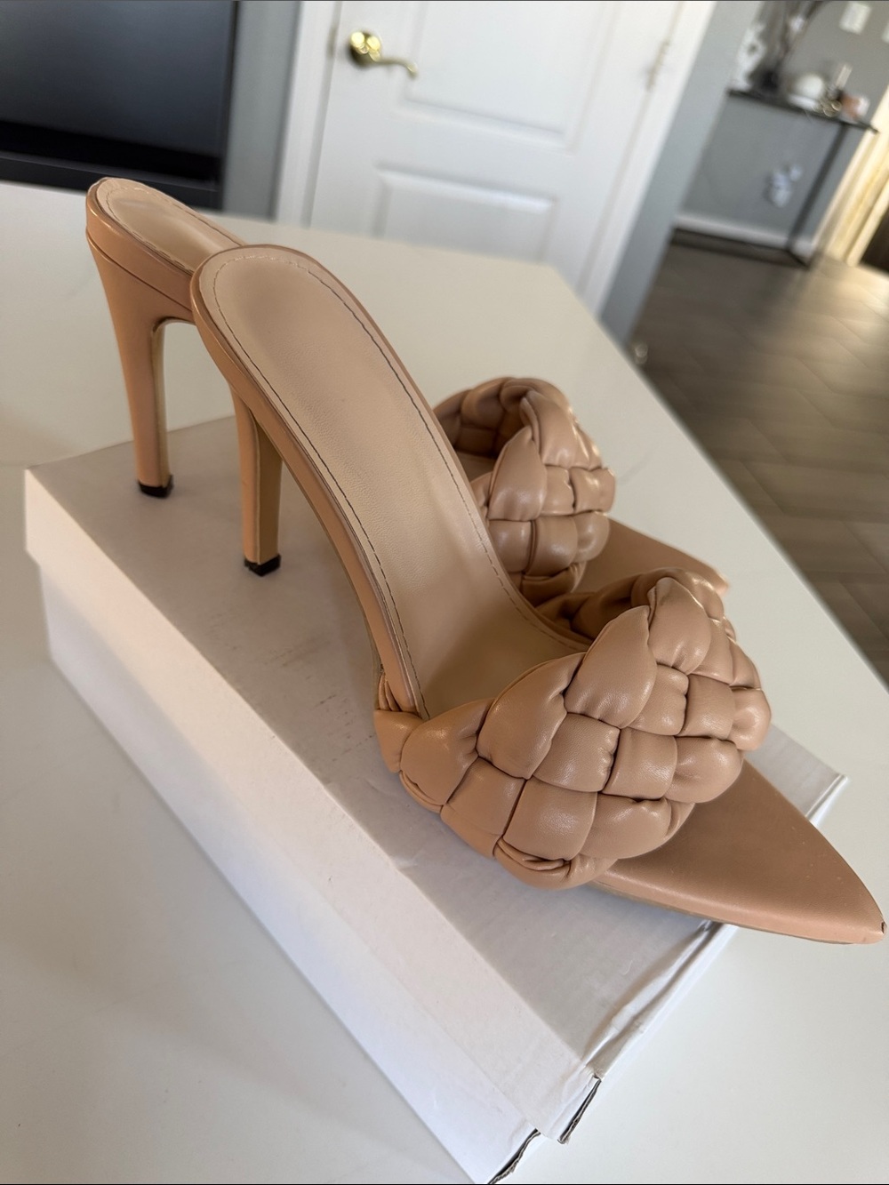 Braided Pointed-Toe High Heel Mule in Nude